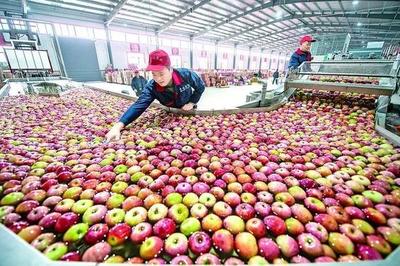 好消息!我省4地入选第三批中国特色农产品优势区
